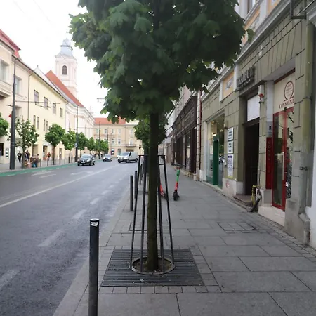 Downtown דירה *